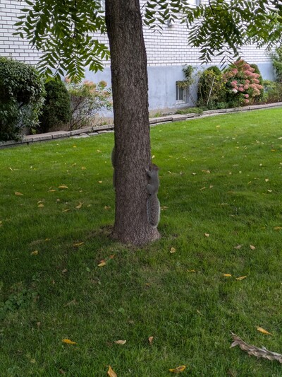 Photo de La vie quotidienne...