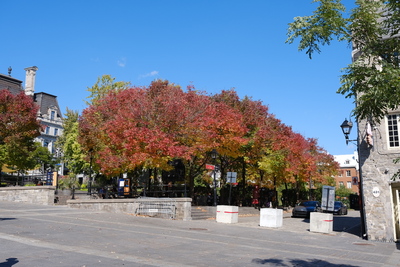 Photo de Place Jacques-Cartier