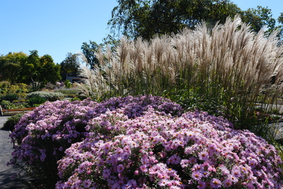 Photo de Le Jardin botanique