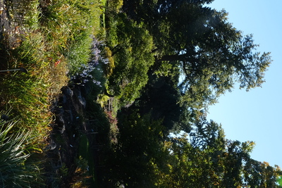 Photo de Le Jardin botanique