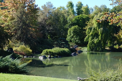 Photo de Le Jardin botanique