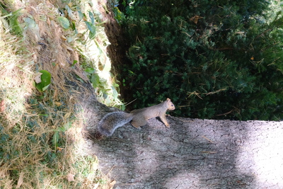 Photo de Le Jardin botanique