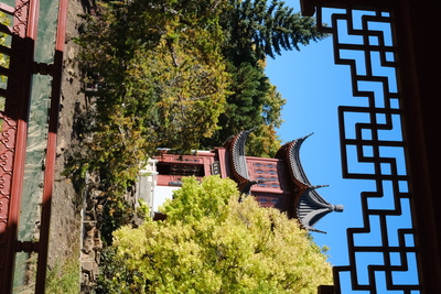 Photo de Le Jardin botanique