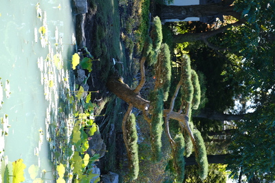 Photo de Le Jardin botanique