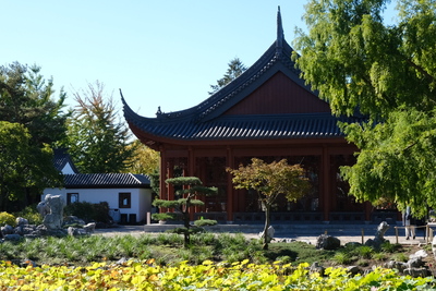 Photo de Le Jardin botanique