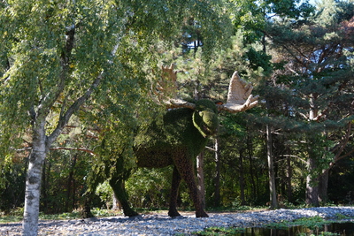 Photo de Le Jardin des Floralies
