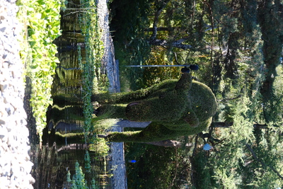 Photo de Le Jardin des Floralies