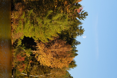 Photo de Arrivée en Mauricie