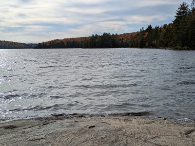 Photo de Dans le parc de la Mauricie, côté Ouest