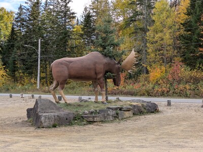 Photo de Dans le parc de la Mauricie, côté Ouest