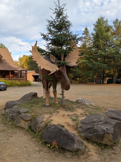 Photo de Dans le parc de la Mauricie, côté Ouest