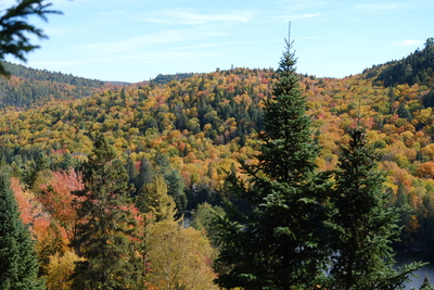 Photo de Dans le parc de la Mauricie, côté Ouest