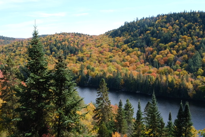 Photo de Dans le parc de la Mauricie, côté Ouest