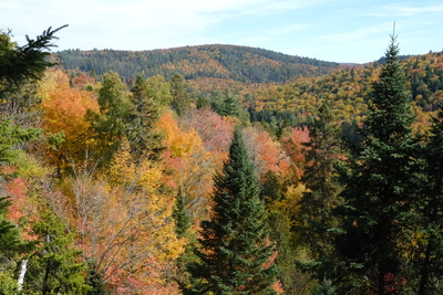 Photo de Dans le parc de la Mauricie, côté Ouest