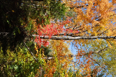 Photo de Dans le parc de la Mauricie, côté Ouest