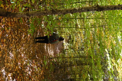 Photo de Dans le parc de la Mauricie, côté Ouest