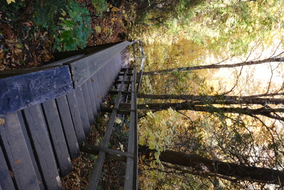 Photo de Dans le parc de la Mauricie, côté Ouest