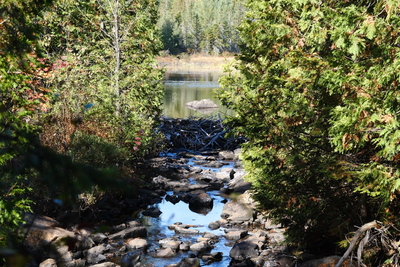Photo de Dans le parc de la Mauricie, côté Ouest