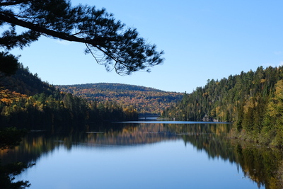 Photo de Dans le parc de la Mauricie, côté Ouest