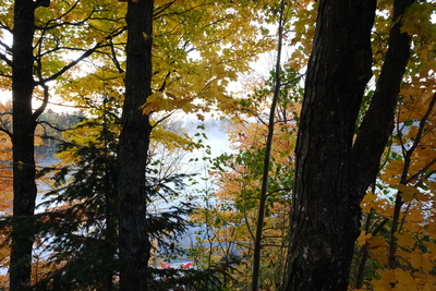 Photo de Autour du chalet