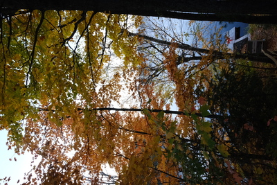 Photo de Autour du chalet
