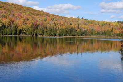 Photo de Dans le parc de la Mauricie, côté Est