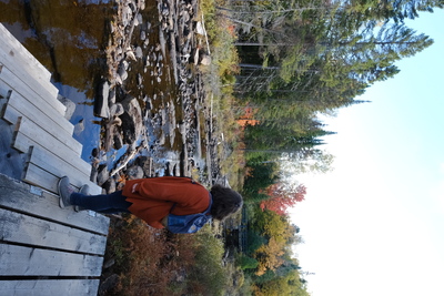 Photo de Dans le parc de la Mauricie, côté Est