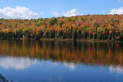 Photo de Dans le parc de la Mauricie, côté Est