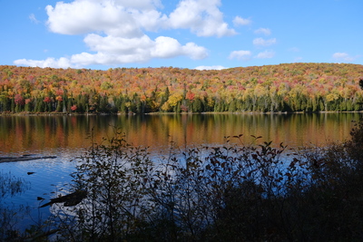 Photo de Dans le parc de la Mauricie, côté Est
