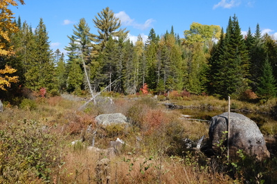 Photo de Dans le parc de la Mauricie, côté Est
