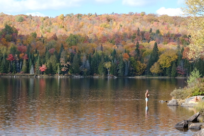 Photo de Dans le parc de la Mauricie, côté Est