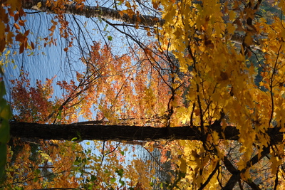 Photo de Autour du chalet