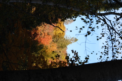 Photo de Autour du chalet