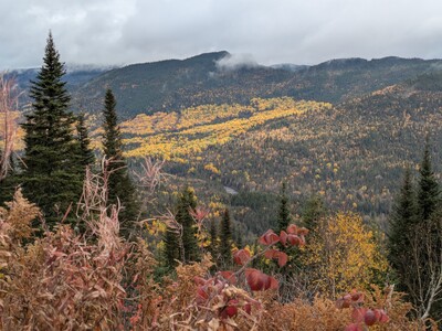 Photo de Sur la route : les Laurentides