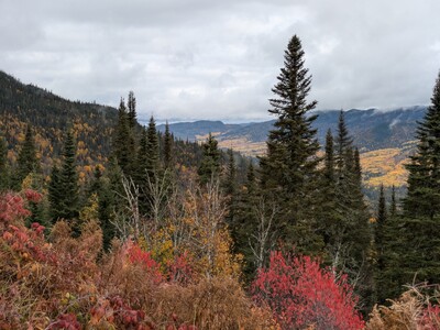 Photo de Sur la route : les Laurentides