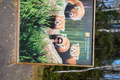 Photo de Le reste du zoo