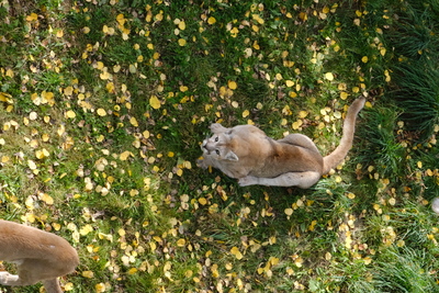 Photo de Le reste du zoo
