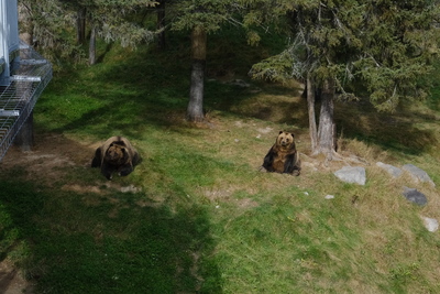 Photo de Le reste du zoo