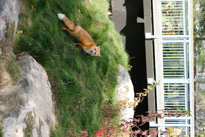 Photo de Le reste du zoo
