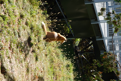 Photo de Le reste du zoo