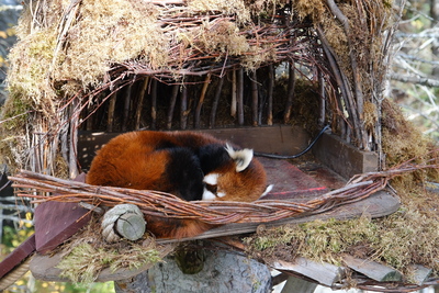Photo de Le reste du zoo