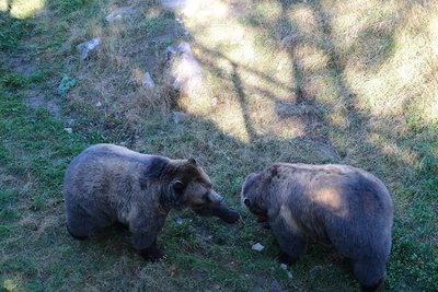 Photo de Le reste du zoo