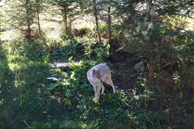 Photo de Le reste du zoo