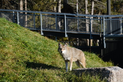 Photo de Le reste du zoo