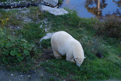 Photo de Le reste du zoo