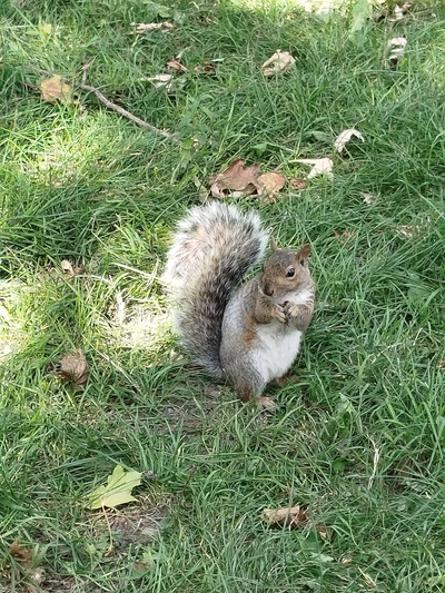 Photo de Le Parc La Fontaine