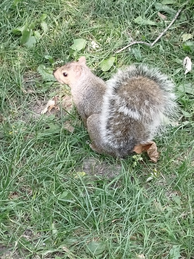 Photo de Le Parc La Fontaine