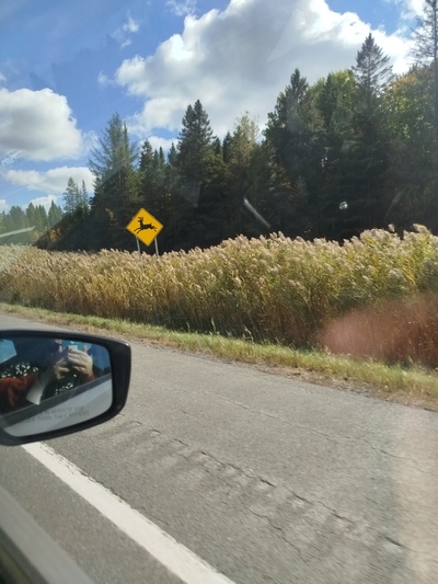 Photo de En route vers les Cantons-de-l'Est