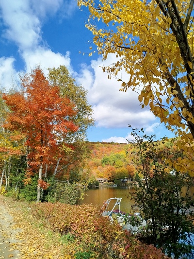 Photo de Autour du chalet