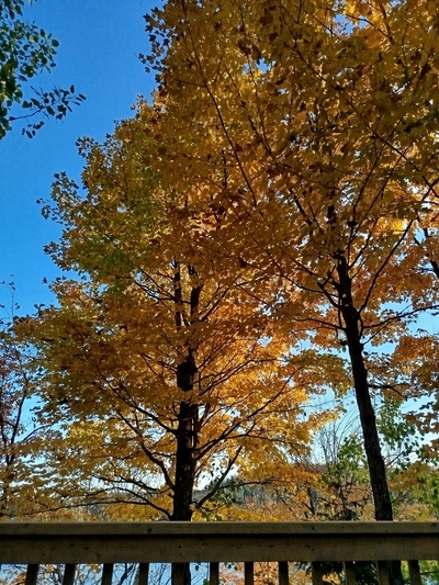Photo de Autour du chalet